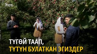 Түгөй таап, түтүн булаткан эгиздер