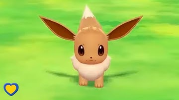 HOW TO GET Eevee in Pokémon Let