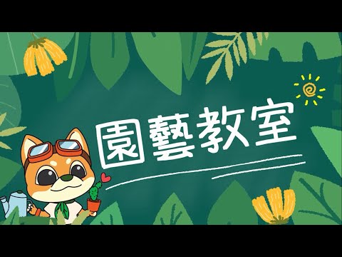 【園藝101】園藝教室拍攝 室內小盆栽(英文)