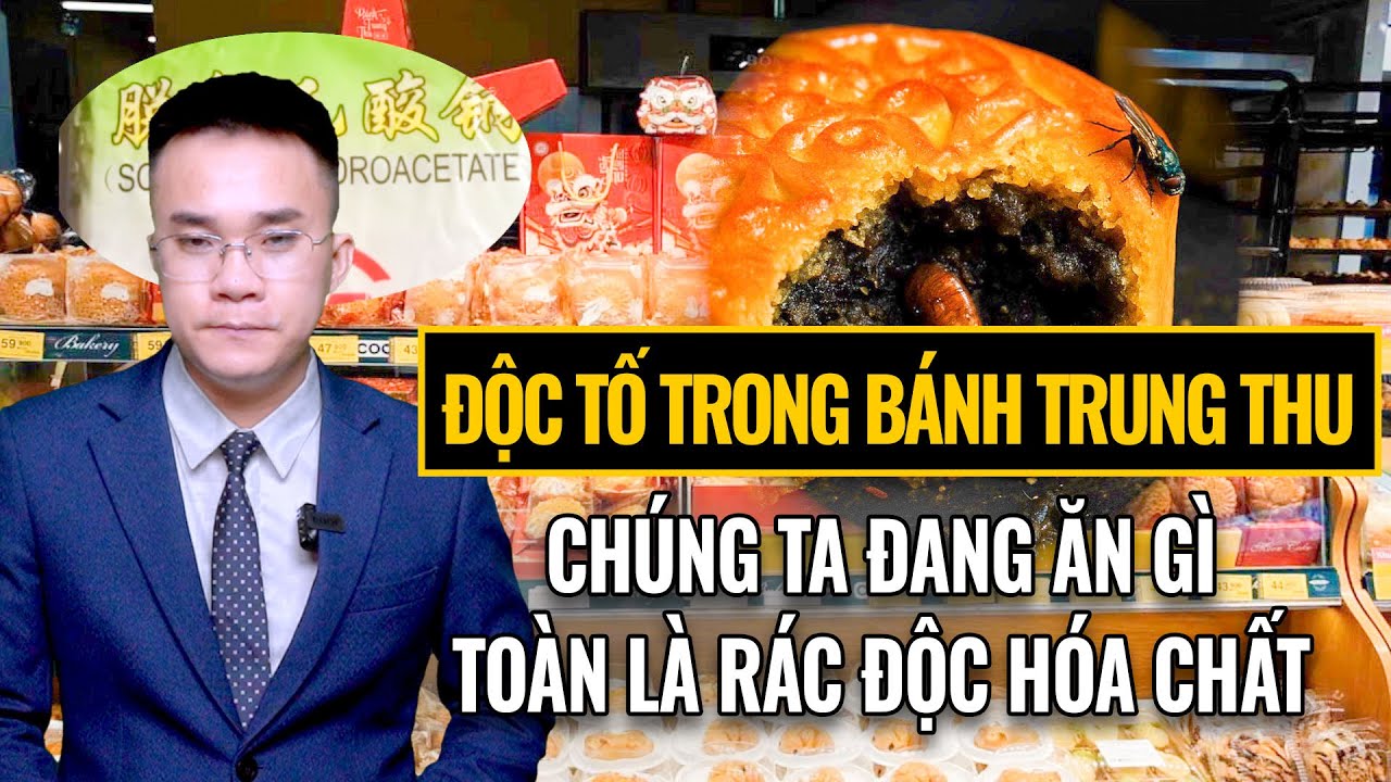 Sự Thật Kinh Hoàng Sau Bánh Trung Thu Trung Quốc. Bạn có còn dám ăn?  || Nhìn Chiến Lược