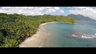 Dominica (The Nature Island in 4K)