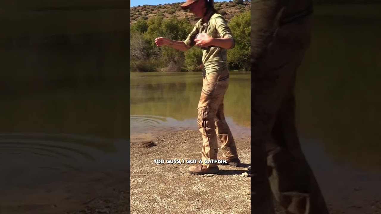 Film backdrop image for Contestant Catches a Catfish for Dinner (2025)