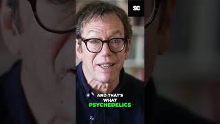 Psychedelics: Unlocking Your Brain's Hidden Reality #shorts