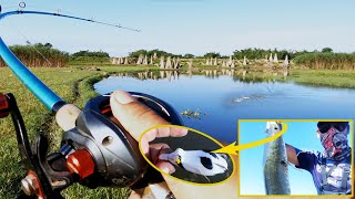 Best frog for snakehead fishing this month | Tips for Snakehead fishing white Dushman Frog screenshot 2