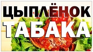 Галилео. Цыплёнок табака