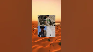 حين تذوب الرمال من شدة الحر وتتحول الأرض إلى صفحة عطشى 