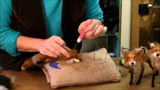 How to Needle Felt Animals - Fox Series 7: Ears by Sarafina Fiber Art