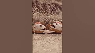 Real Alien Language?