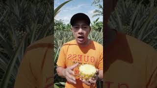 bromelain