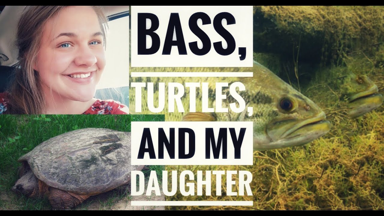 Largemouth Bass, Snapping Turtles, and my Daughter (HUGE SNAPPING TURTLE!) YouTube