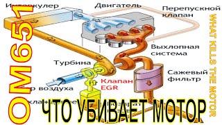 ом651 ПОЛЬЗА ОТ САЖЕВОГО ФИЛЬТРА,ЧТО УБИВАЕТ МОТОР,ЗАПЛАНИРОВАННОЕ СТАРЕНИЕ