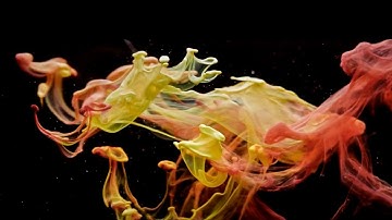 Robot Koch - Care (feat. Julien Marchal)