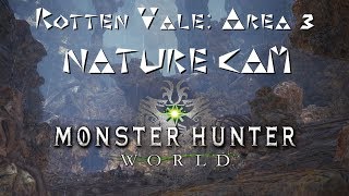 MHW: Rotten Vale: Area 3 Nature Cam