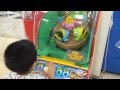 鳥におやつをあげましょ〜☆【ゲームセンター】You're up to your guy to the bird