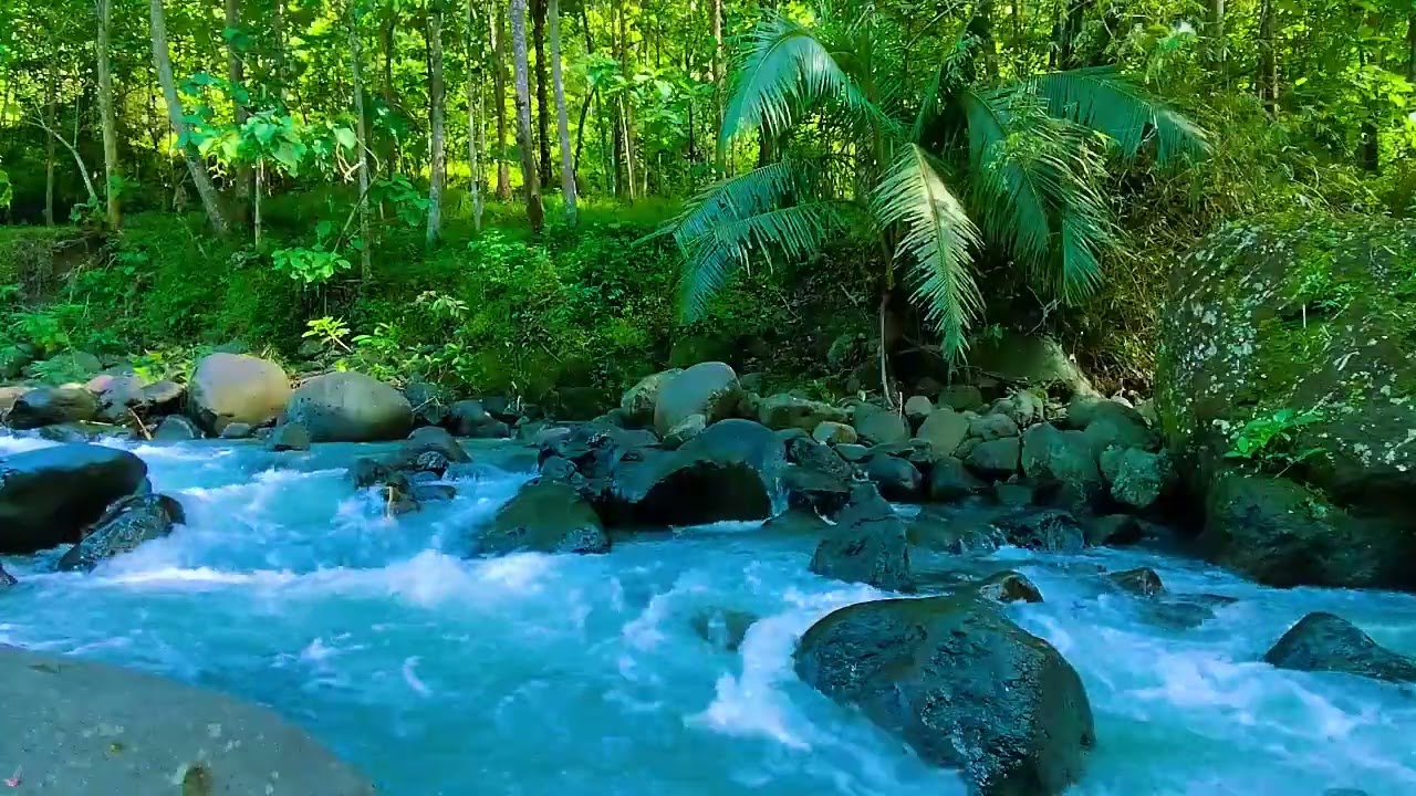 Instant Peace of Mind - River Water, Relaxing Sounds and Relieves Anxiety