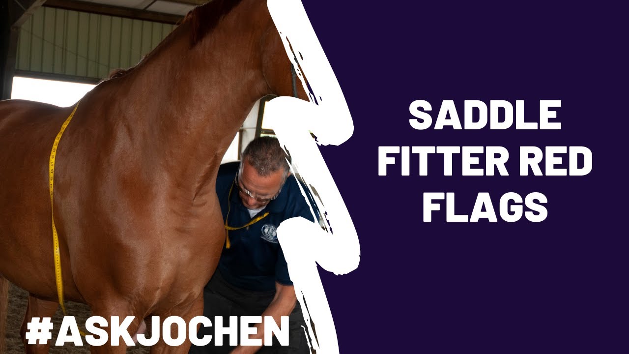 Saddle Fitter Red Flags | #ASKJochen | Livestream Q&A Excerpt - YouTube