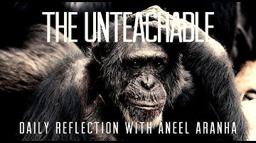 Daily Reflection with Aneel Aranha | Luke 10:21-24 | December 3, 2019