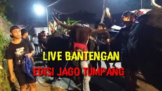 Live Bantengan‼️Edisi Jago - Tumpang❗