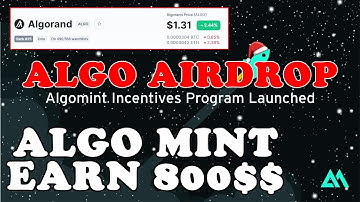 Algomint Airdrop How to participate in Algomint incentives Program Urdu Hindi | Algorand ALGO