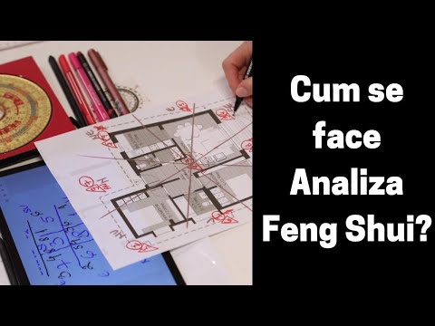 Feng Shui - Studiu de caz Analiza Feng Shui Apartament