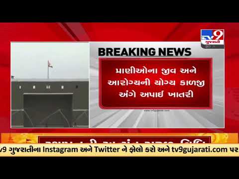 Gujarat HC gives green signal to set up Zoo in Jamnagar | Gujarat | TV9GujaratiNews