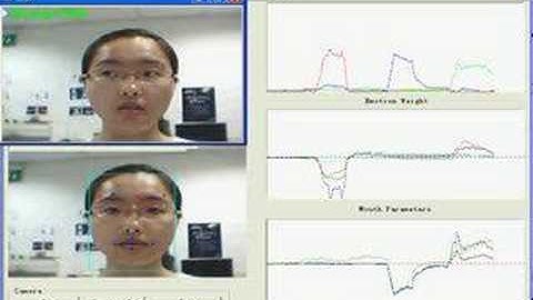 Facial expression recognition