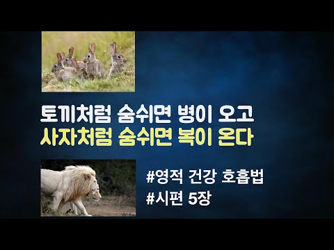 552 토끼처럼 숨 쉬면 병이 오고 사자처럼 숨 쉬면 복이 온다 | 영적건강긴호흡법 | 시편 5:1-12 | 미라클 모닝