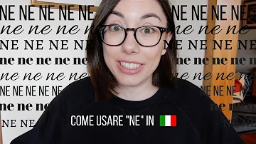 Che cos'è ne in italiano?