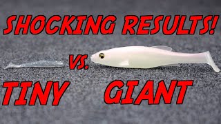 MICRO VS. GIANT Swimbait Bass Fishing Challenge!