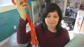 Intro To Yogabarrewithshree 3172016