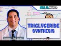 Metabolism | Triglyceride Synthesis