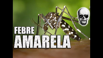 Quantas pessoas morreram de febre amarela no Brasil?