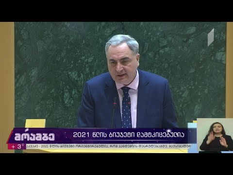 პარლამენტმა 2021 წლის ბიუჯეტის პროექტს მხარი დაუჭირა