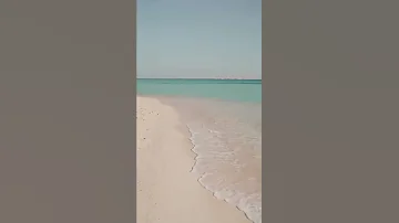 كاظم اولا حبيبتي انتي 