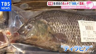 都会の真ん中で「漁業」×「農業」