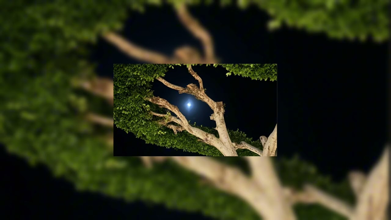 Kiliana-Москва не спит ( S L O W E D + R E V E R D )