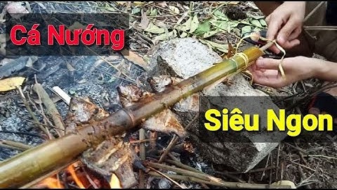 Câu cá nướng tại chỗ - Cá Rô Phi nướng Siêu Ngon | Team 5 TV