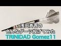 【ダーツ】色んなダーツ投げてみよう【TRiNiDAD Gomez11】