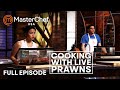 Cooking Live Prawns in MasterChef USA | S03 E15 | Full Episode | MasterChef World