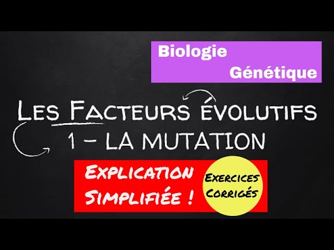 Vidéo: Une Mutation Utile: Un Mécanisme Génétique D’influence Sur La Durée Et La Qualité Du Sommeil A été Découvert - - Vue Alternative