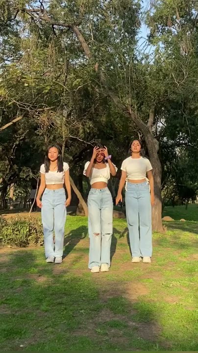 TOXIC X PONY REMIX | VIRAL/TRENDING TIKTOK/REEL by MIXDUP | INDIA #shorts
