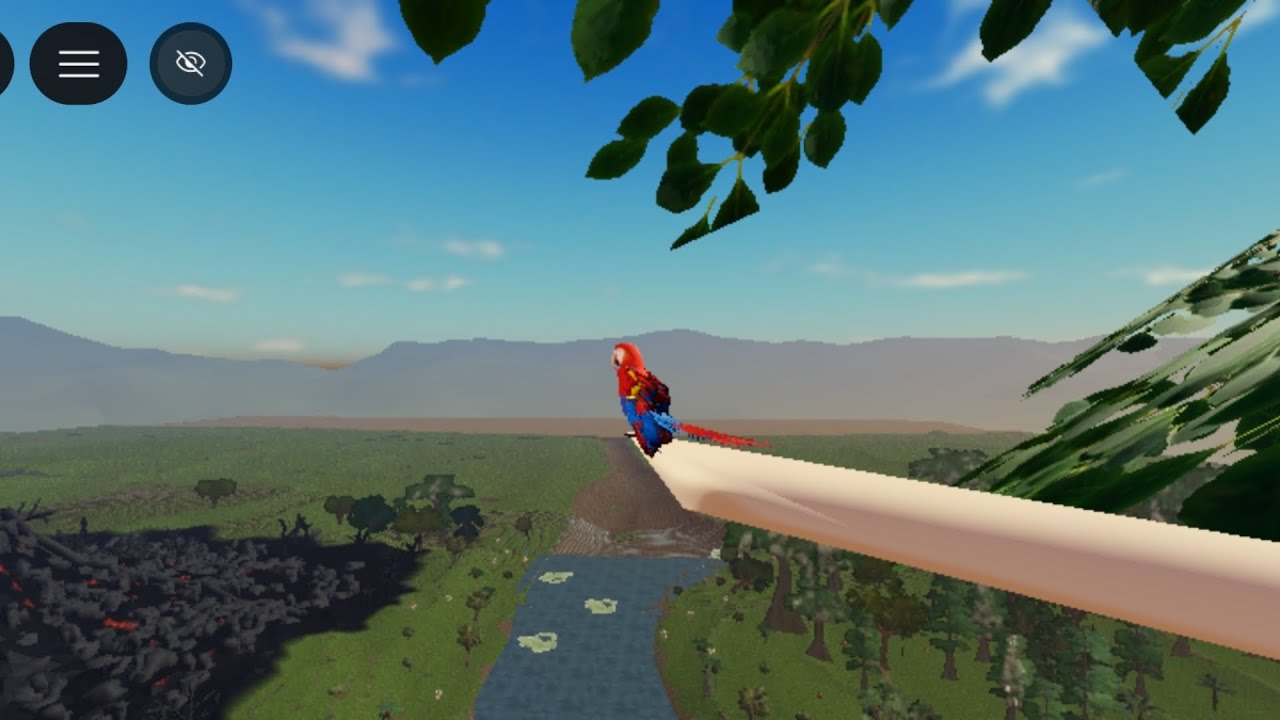 Finalmente chegou a arara