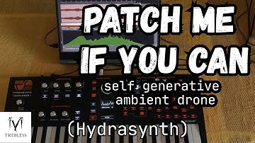 Patch me if you can - (Self Generative Drone) [Hydrasynth]
