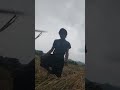 Habis panen di sawah#shorts