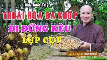 THOÁI HÓA ĐA KHỚP - ĐI ĐỨNG KHÓ KHĂN, KHỚP KÊU LỤP CỤP - Chùa Pháp Tạng