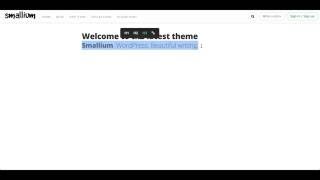 Information Smallium WordPress Theme News