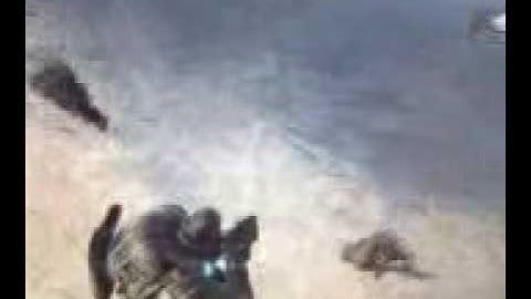 Gears of War 2 glitches after 3/24/09 patch raining men glitch