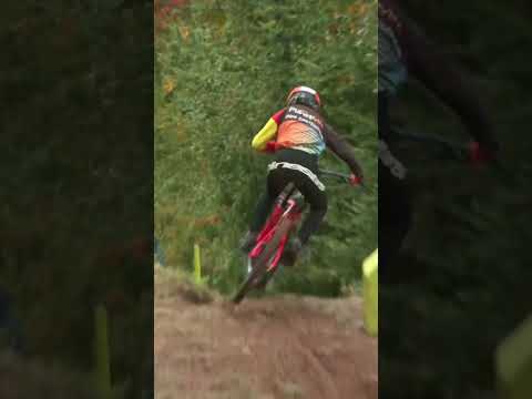 T-bog Madness Snowshoe