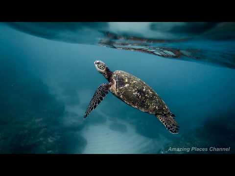 5-best-travel-destinations-of-2019-|-where-to-travel-now!