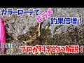 目黒塾 カラーローテでヒラメ釣果倍増❗️プロが科学的に解説❗️